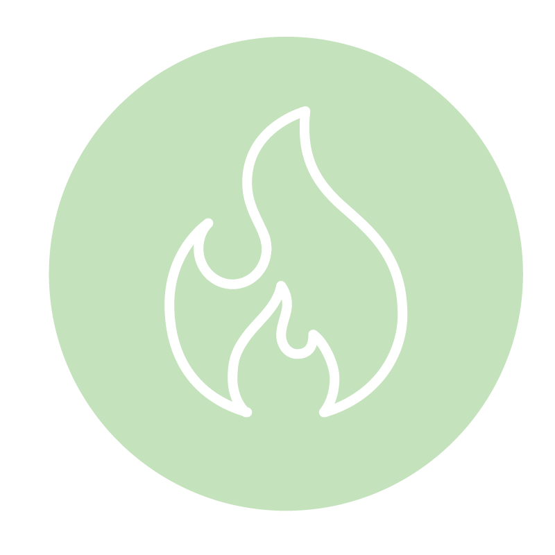 Burns Calories & Visceral Fat