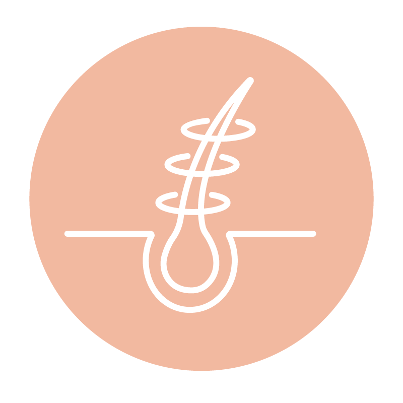 Strengthens Hair Follicles