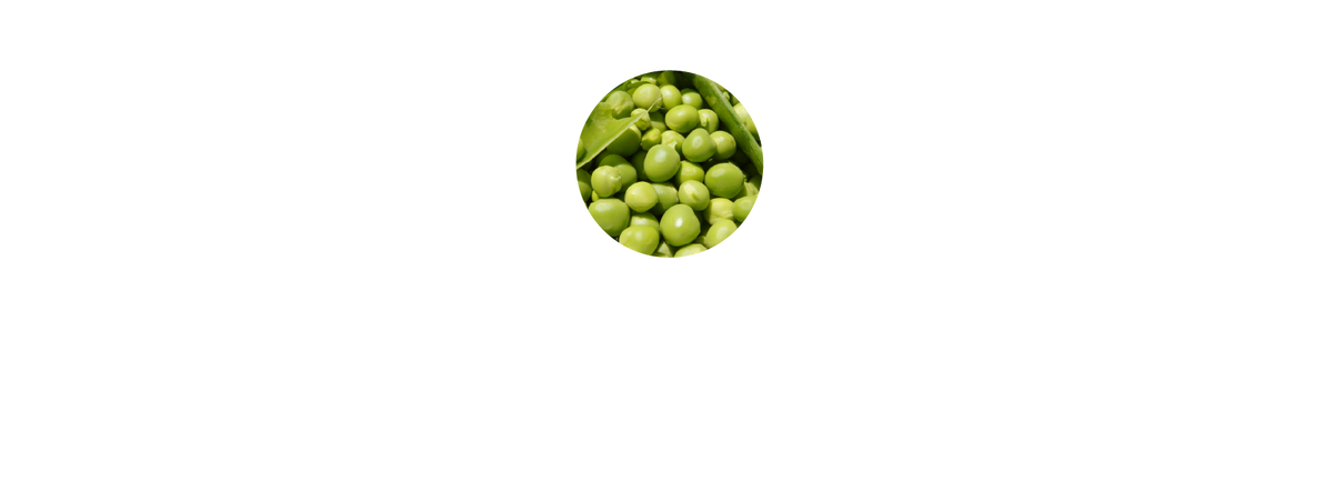 Dr. Ora | Beauty Supplements Powered by Superfoods