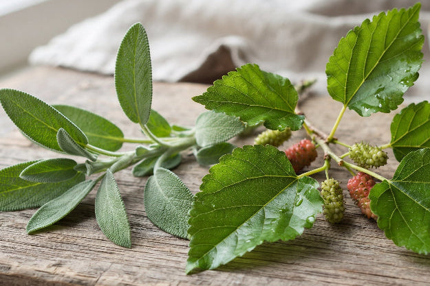 Dr. Ora | Beauty Supplements Powered by Superfoods