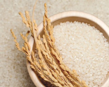 Dr. Ora | Beauty Supplements Powered by Superfoods